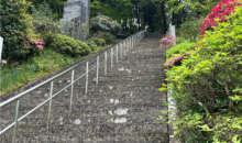 お知らせ：サムネイル写真